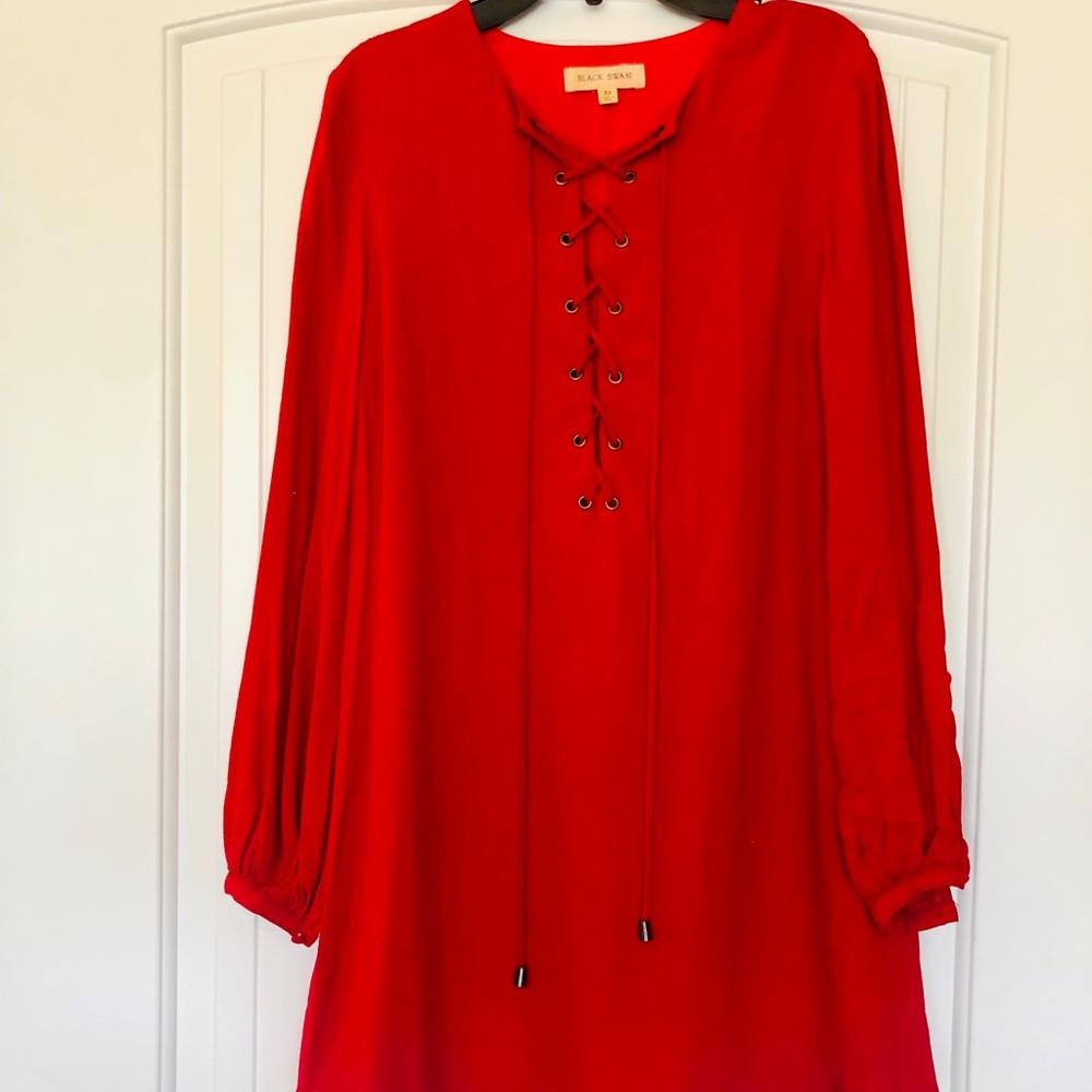 Black Swan Tunic Dress